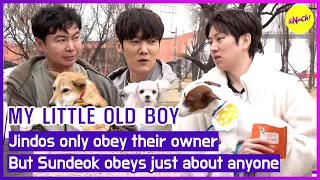 [MY LITTLE OLD BOY] Jindos only obey their owner. But Sundeok obeys just about anyone🐕‍🦺(ENGSUB)