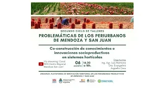 Co-construcción de conocimientos e innovaciones socioproductivas en sistemas hortícolas