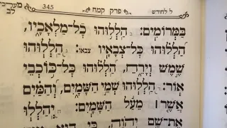 Tehillim psalm 148 תהלים קמח