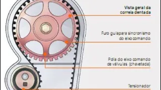 Ponto Sincronismo CORRETO Peugeot 207 1.4 8v verifique do seu carro a maioria está errado