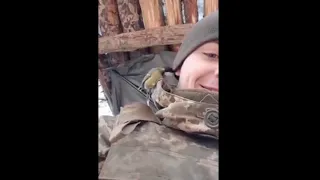 A bird on the Ukrainian soldier