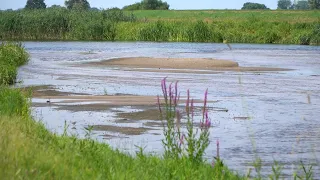 Tragedia nad Wartą w okolicy Koła, 20 letni mężczyzna niewypłynął na powierzchnie