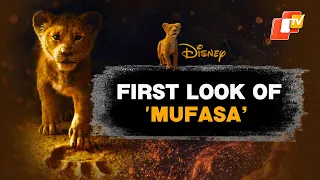 'Mufasa - The Lion King' Trailer: Disney Drops First Look Of Prequel Story