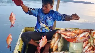 HARVEST FISHING DISPOTS OF RED FISH, FRY THE FISH IMMEDIATELY, DELICIOUS EATING IN THE SEA