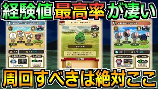 【ドラクエウォーク】話題の各狩り場所を1時間ガチ周回した結果！1周まわってここが最適でした！