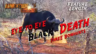 Eye to Eye BLACK DEATH Bowhunting Cape Buffalo THREE HUNTS