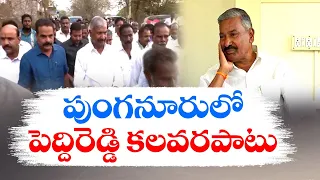 వైకాపా నేతల అరాచకాలకు కేరాఫ్ అడ్రస్‌గా మారిన పుంగనూరు | YCP Activities Hulchul | Punganur