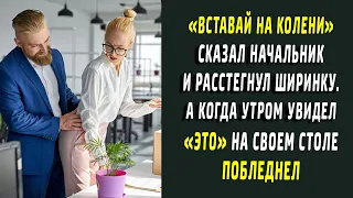 "Вставай на колени" - приказал босс. А утром побледнел когда увидел ЭТО на столе