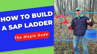 How to Build a Maple Sap Ladder/ Lift!