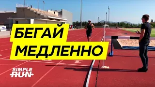 Хотите бегать быстро? 💨 Учитесь бегать медленно! 🐢