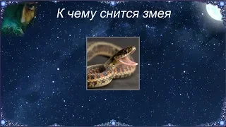 К чему снится Змея (Сонник)