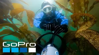 GoPro Cause: Reforesting the Ocean with SeaTrees | Kindhumans