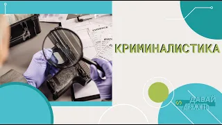 Давай Дружить - Криминалистика