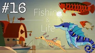 Catching The King Of The Seahorses And The Red Arowana!! | Fishing And Life #16