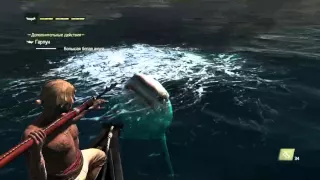 Assassin's Creed IV Охота на акулу