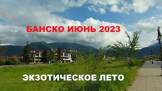 БАНСКО. ИЮНЬ 2023. ЭКЗОТИЧЕСКОЕ ЛЕТО.