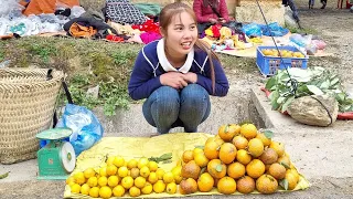 The girl harvests oranges and paintings and brings them to the market to sell | Chuc thi Duong