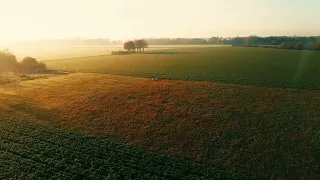 Video Banner Stock Videos - Rural, Farming, Agriculture, Nature