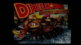 Donkey Kong Country 3 Any% in 48:26