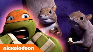 Черепашки-ниндзя | Мутагеноид на свободе | Nickelodeon Россия