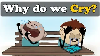 Why do we Cry? + more videos | #aumsum #kids #science #education #children