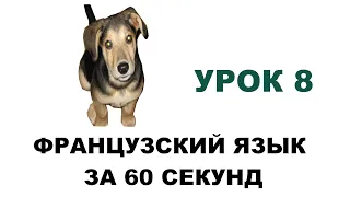 французский язык за 60 секунд, урок 8, УКАЗАТЕЛЬНЫЕ ПРИЛАГАТЕЬНЫЕ  CE, CET, CETTE, CES.