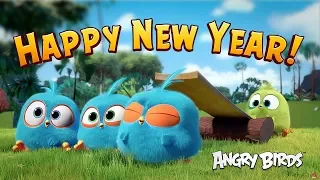 Happy New Year from Angry Birds!