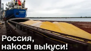 ⚡ Украина запустила альтернативный зерновой коридор! И тоже Черным морем!