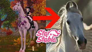 МАРВАРИ ЛОШАДЬ-СТАР СТЕЙБЛ ОНЛАЙН!ПОКУПКА МАРВАРИ В Star Stable Online/SSO. МАРВАРИ/MARWARI HORSE