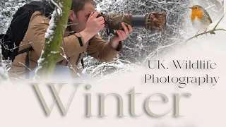 UK Wildlife Photography | The Magic of Winter | finding wildlife in the snow.