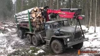 Woodcutters ― Вывоз леса