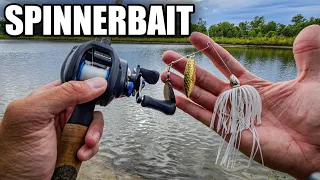 Spinnerbait Fishing for Fall Bass (WHY DOES IT WORK?)
