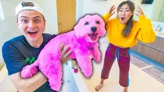 I DYED HER DOG PINK!! (PERMANENT)