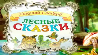 Лесные сказки Николай Сладков "Зимние долги"