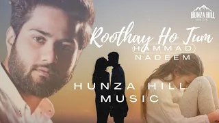 Roothay Ho Tum (Cover) Hammad Nadeem | with Animated Explanation | Nayyara Noor | #music #forever