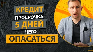 ✔️Может ли Кредитор Начать Взыскание Долга При Просрочке в 2 - 3 дня  ✔️Пойти в Суд ✔️Сделать ВНН