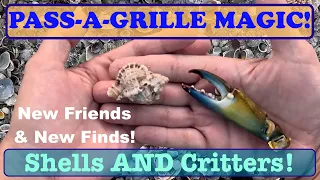 PASS A GRILLE MAGIC!  Shells, Critters, & New Friends! 041224