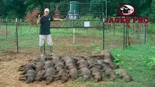 Wild Hog Trapping | (17) M.I.N.E.™ Trapping System before June Planting | JAGER PRO™