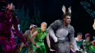 Shrek The Musical 2024 theatre tour trailer