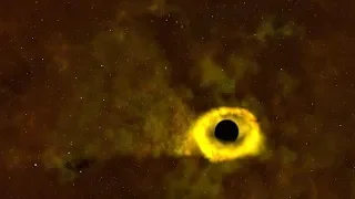 TESS Catches its First Star-destroying Black Hole