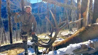 AMAZING Idaho Elk hunt | S3E05 | Limitless Outdoors
