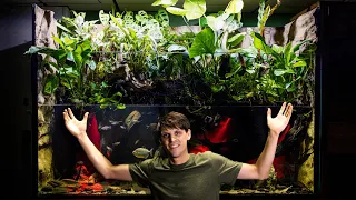 Adding Fish to The 350 Gallon Paludarium (Build Part 4)