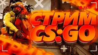 Стрим по CS GO / Розыгрыш Скинов / Играю с Подписчиками / Стрим по Кс Го