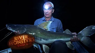 Reeling In "Small" Piraíba At Night | PIRAIBA | River Monsters