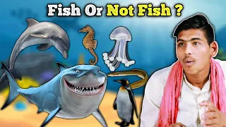 Villagers Learn Fish or Not Fish: Is That Aquatic Animal a Fish? Tribal People React To Marine Life