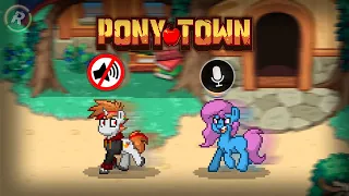 ГОЛОСОВОЙ ЧАТ В ПОНИ ТАУН |Pony Town| |RAET|