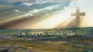 Paula Seling - La umbra crucii Tale [Lyric Video]