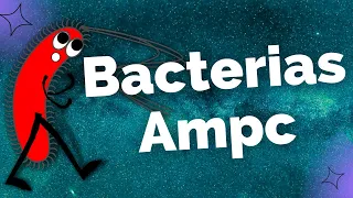 Bacterias Ampc