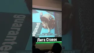 Хабиб & Гейджи 24 10 2020