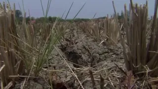 Meteorologistas indicam possível retorno mais forte do El Niño no Brasil